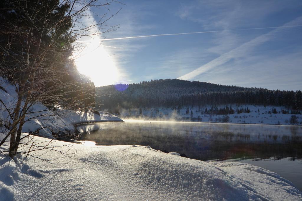 Seehotel Hubertus Schluchsee Dış mekan fotoğraf