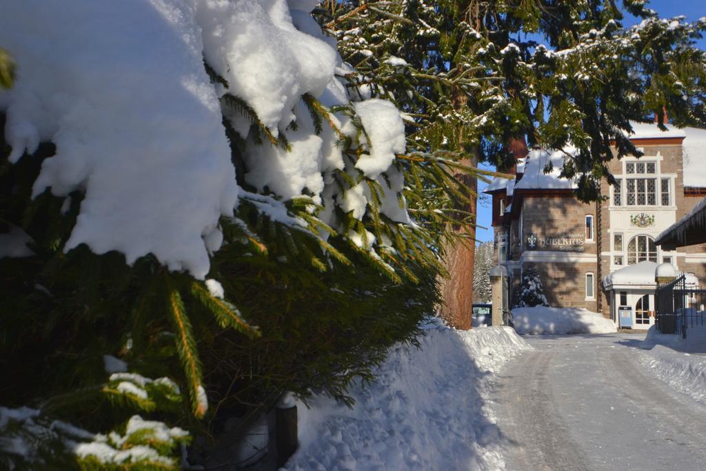 Seehotel Hubertus Schluchsee Dış mekan fotoğraf