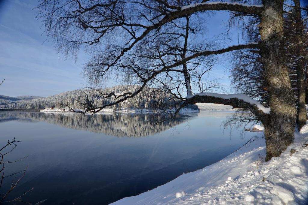 Seehotel Hubertus Schluchsee Dış mekan fotoğraf